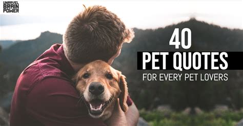 40 Pet Quotes For Every Pet Lovers Unravel Brain Power