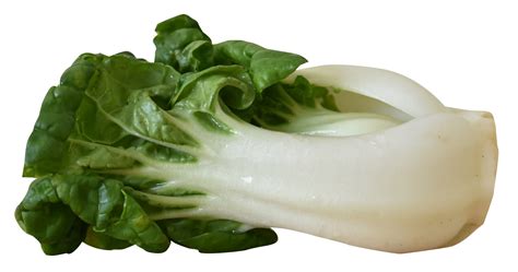 Bok Choy Png Image Purepng Free Transparent Cc0 Png Image Library