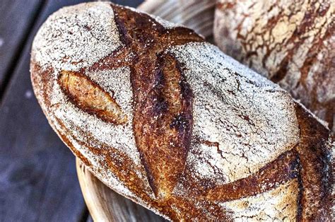 Barley bread has defined bread making cultures for thousands of years. Barley Semola Sourdough - Bread and Companatico