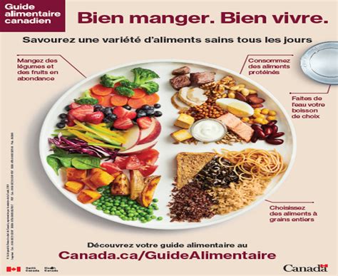 Le fameux guide alimentaire Canadien 2019, notre opinion - Orange Santé
