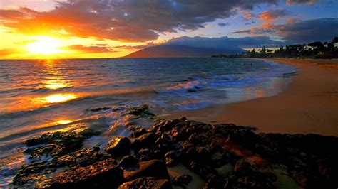 Maui Hawaii The Favorite Island For Hollywood