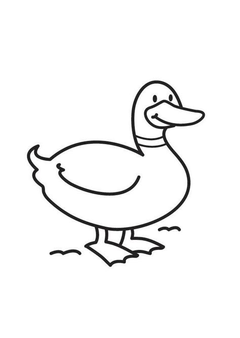 Kleurplaat eend. Gratis kleurplaten om te printen.