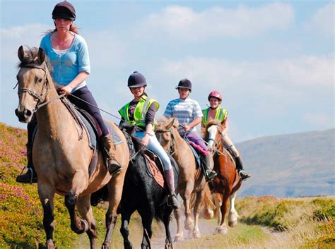 Horse Riding In Wales Ampascachi