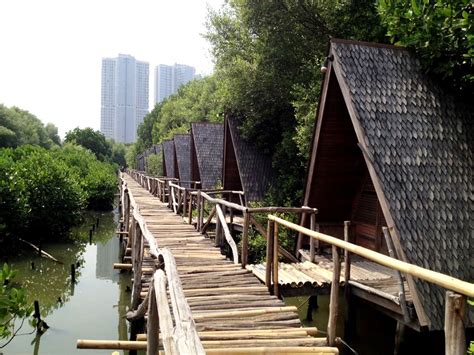 Jam Bukan dan Lokasi Hutan Mangrove PIK Jakarta, Destinasi Wisata Baru