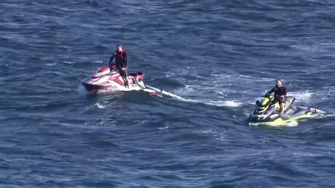 el trágico momento en que un nadador fue devorado por un tiburón blanco en sídney infobae