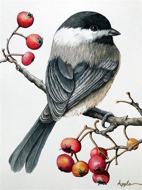 Chickadee Watercolor Painting By Linda Apple Pixels