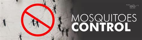 Our mosquito control options are designed to reduce mosquito populations around your property so you can enjoy your outdoor living space. Mosquito Control | Mosquito Pest Control in Indore ...