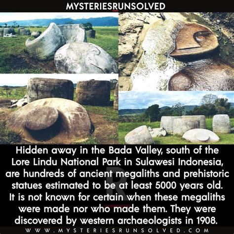 Mystery Of Bada Valley Megaliths Ancient History Facts History Facts Interesting History Facts