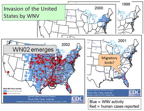 Viruses Free Full Text Ecology Of West Nile Virus In North America