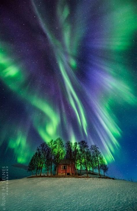 189 Best Images About Norway Northern Light Aurora