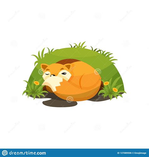 Cute Fox Sleeping In A Den Vector Illustration On A White Background