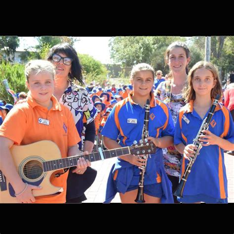 Fairview Primary School Collie Hub