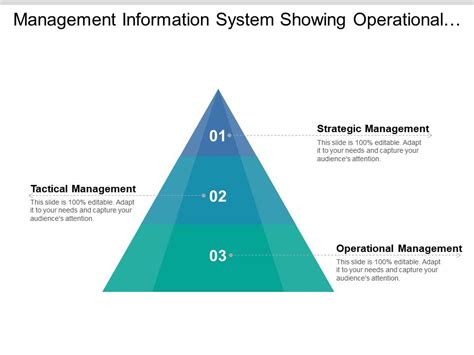 Management Information System Showing Operational And Tactical