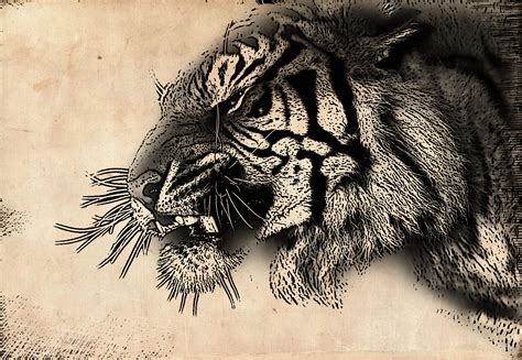 Click the image, for more art by dylan brady. ink drawing by Woolpix on DeviantArt