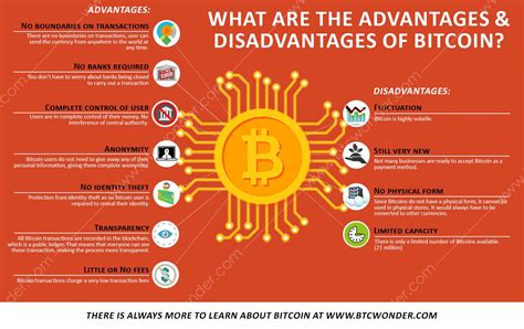 What do they contribute to our society? What Are the Advantages and Disadvantages of Bitcoins ...