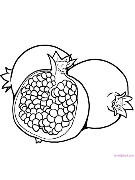 Pomegranate Coloring Pictures Who Doesnt Know Pomegranates This