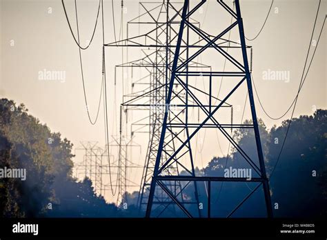 High Voltage Carrier Power Lines Through The Forest Stock Photo Alamy