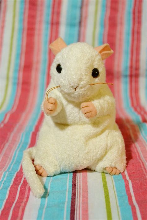 Cheezer the Mouse - I hide in holes throughout the day But when night