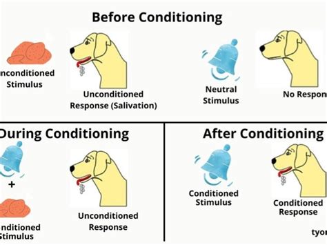 AQA classical conditioning | Teaching Resources
