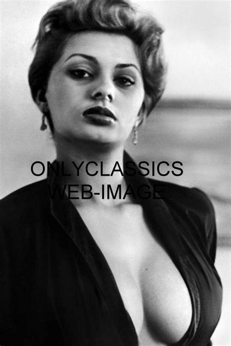 Sexy Italian Actress Sophia Loren Busty Photo Hot Pinup