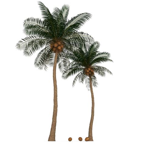 Max Palm Tree 3d Model Palm Trees Tree Palm