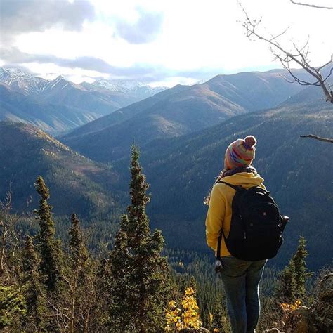 I am posting a quick overview of the satisfyingly diverse trip, and will dwell more on some highlights later. On a hike Denali National Park . . . #denali # ...