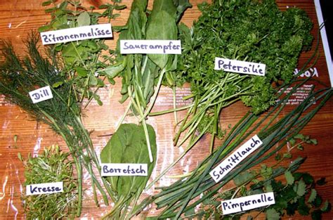 7 Kräuter Grüne Soße