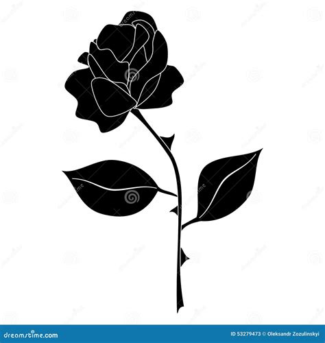 Black Rose Vector Stock Illustrations 50860 Black Rose Vector Stock