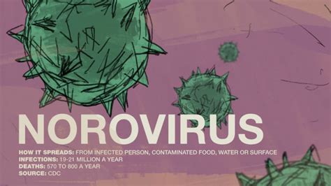Norovirus Is Not Just On Cruise Ships Cnn