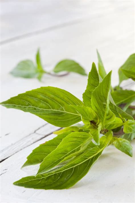 It kind of hits on our themes of the. Thai Basil tastes like licorice, cinnamon and mint. # ...