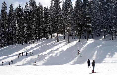 10 Best Places To See Snowfall In India All Seasons