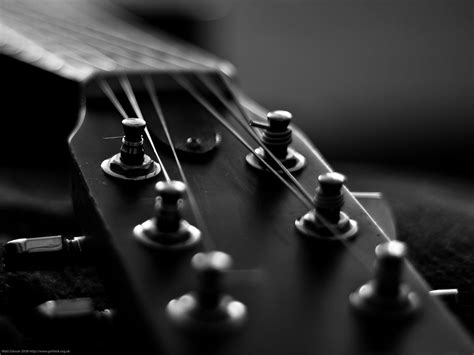 Black And White Guitar Wallpapers Top Free Black And White Guitar