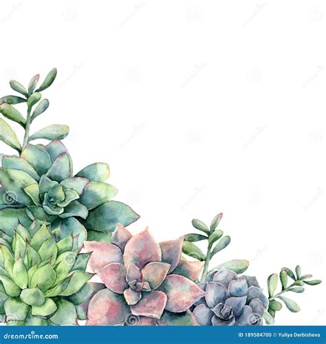 Watercolor Card With Bouquet Of Succulents Hand Painted Green And