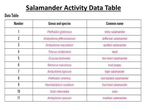 All about germs in this science worksheet, your child learns about bad microbes, often called germs, and describes unhygenic ways food can be stored. PPT - Dichotomous Keys PowerPoint Presentation, free ...