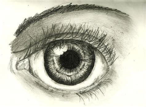 Human Eye Sketch By Scottmu On Deviantart