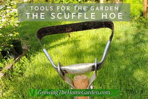 Scuffle Hoe Stirrup Hoe Hula Hoe Growing The Home Garden