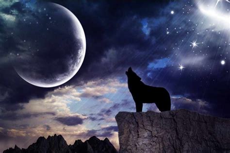 The First Full Wolf Moon 2020 Why Is It Called The Wolf Moon And When