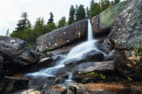 Premium Photo Fabulous Mountain Streams Lush Greenery And Flowers