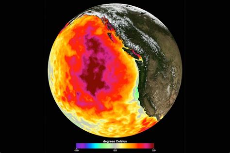 Extreme Marine Heatwaves Are Now Normal For The Worlds Oceans