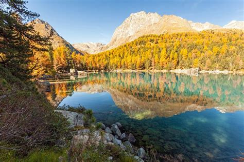 Saoseo Lake Poschiavo Switzerland Stock Photo Image Of Forest
