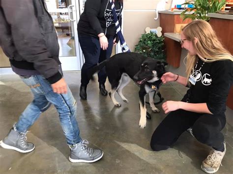 All good dogs go to heaven, and champ biden, who died saturday at age 13, was a good dog. Former Vice President Biden adopts shelter pooch • Pet ...
