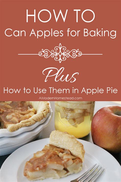 Using the funnel, fill jars with drained apples about 2 inches from the top. Canning Apple Pie Filling | Recipe | Canning recipes ...