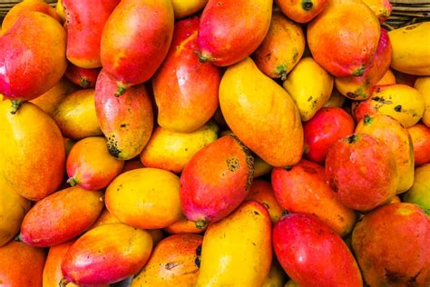 El Mango Sus Propiedades Nutritivas Y Beneficios Para La Salud