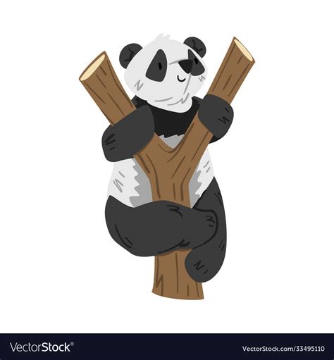 Cute Panda Bear Climbing On Tree Stem Funny Wild Vector Image