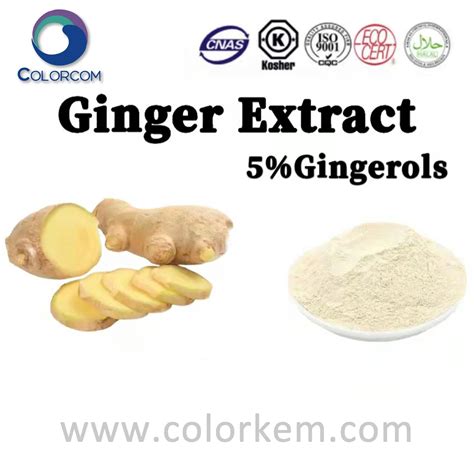 Ginger Extract 5 Gingerols 23513 14 6 Free Sample China Ginger