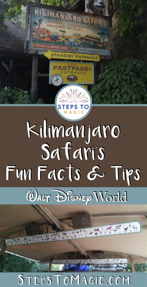 Fun Facts About Kilimanjaro Safaris Stepstomagic Animal Kingdom