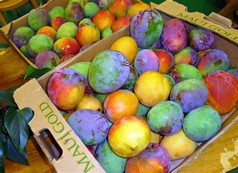 Leave the mango pit in a cool, dry spot overnight, then carefully pry open the pit with a sharp knife and remove the seed, which looks like a large lima bean. beautiful mangos - Google Images | Beautiful fruits, Mango ...