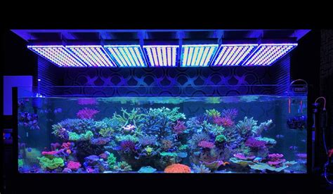Iluminación Led Para Acuarios Orphek Reef Iluminación Led Para Acuarios