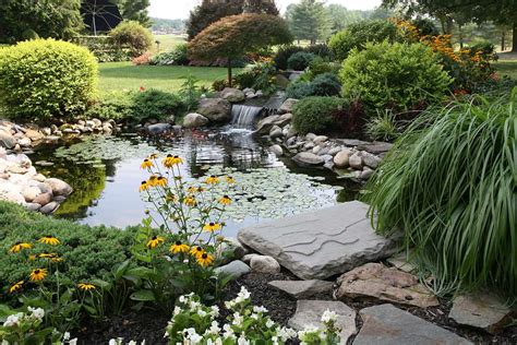 Smaller ponds are good diy projects, but let pros handle the plumbing and electrical work. 9 Great Plants for Small Backyard Ponds