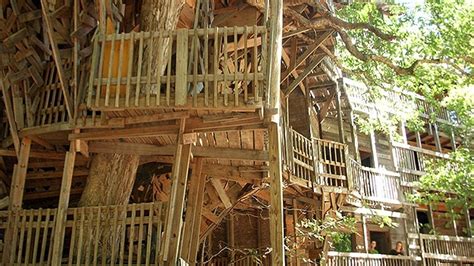 The Worlds Largest Treehouse A Mansion In A Tree Bit Rebels